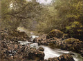 Ireland Wicklow The Dargle A4 Photo Print