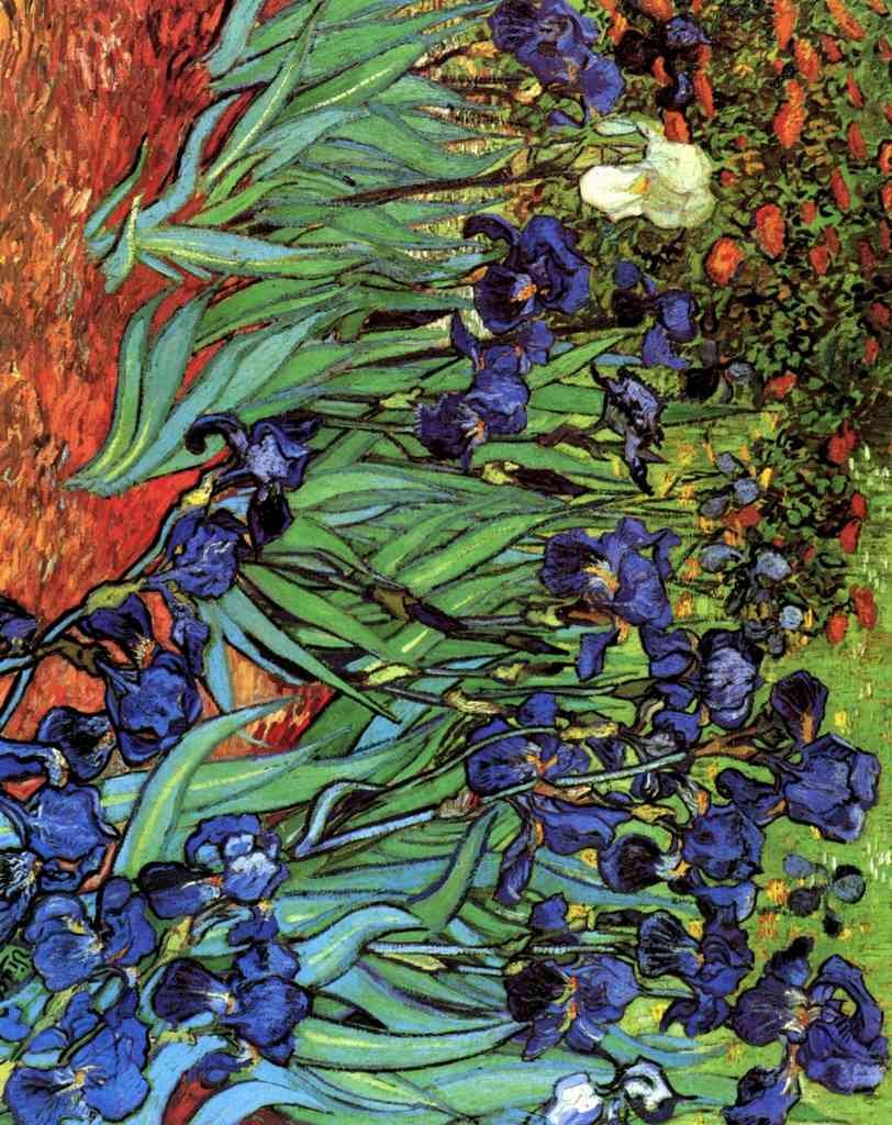 Irises Van Gogh A4 Photo Print