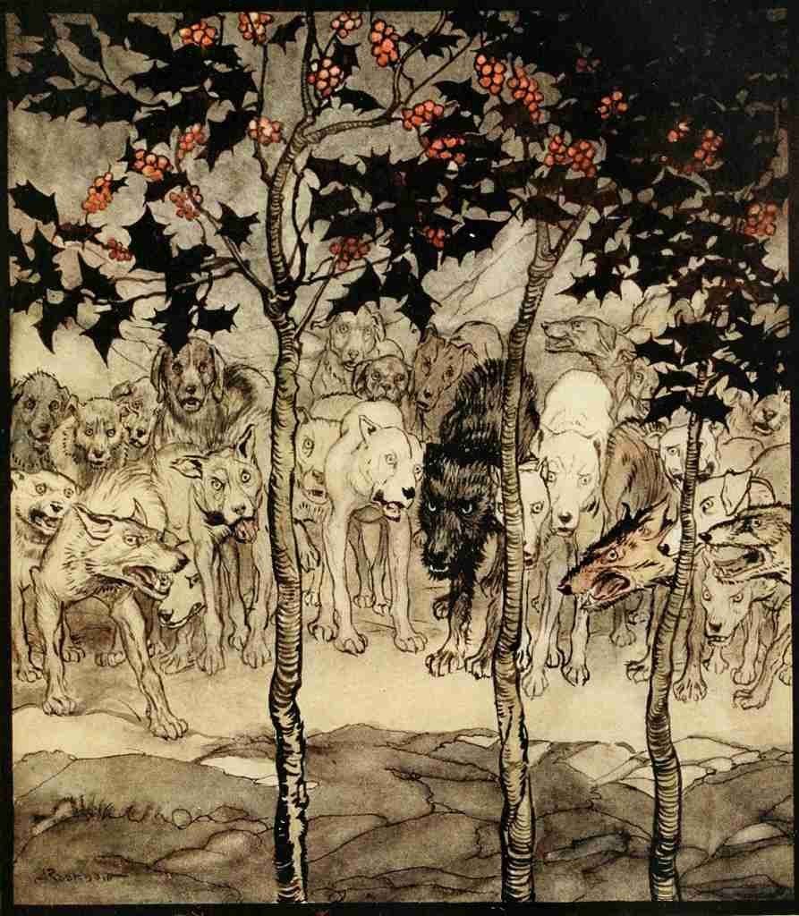 Irish Fairy Tales 1920 11 A4 Photo Print