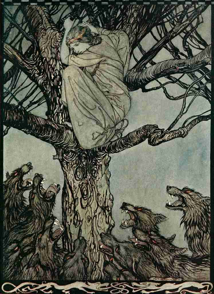 Irish Fairy Tales 1920 8 A4 Photo Print