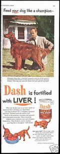 Irish Setter Dog Vintage Retro Advert Ads A4 Photo Print