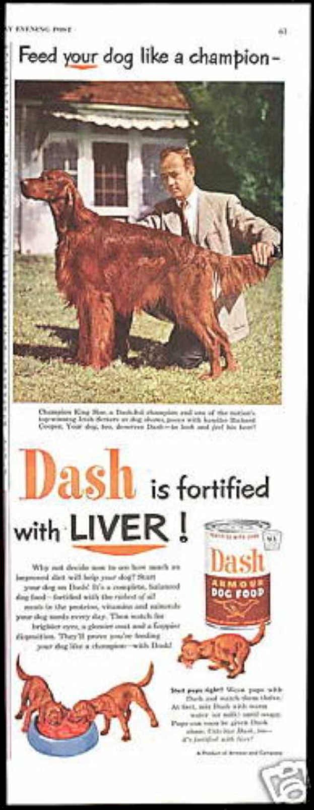 Irish Setter Dog Vintage Retro Advert Ads A4 Photo Print
