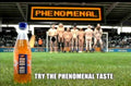 Iron Bru Phenomenal Vintage Retro Advert Poster A4 Photo Print