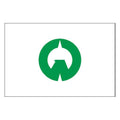 Iruma City Flag N2671 A4 Photo Print