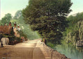 Isle of Wight Bonchurch Pond II vintage old A4 Photo Print