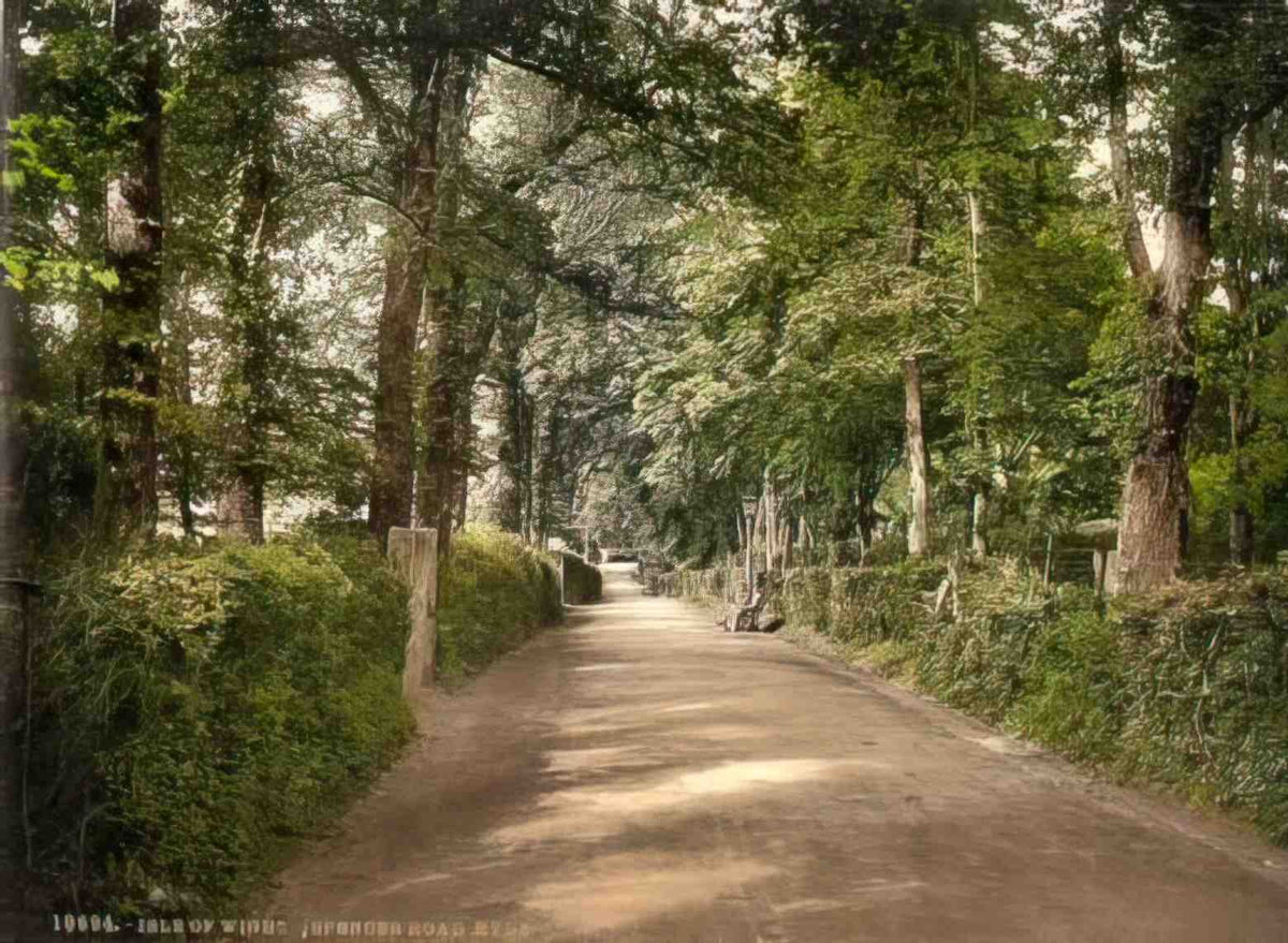 Isle of Wight Ryde Spencer Road Vintage A4 Photo Print