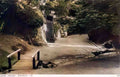 Isle of Wight Shanklin Chine Hollow Vintage A4 Photo Print
