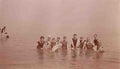 Isle of Wight Swimming Group Vintage A4 Photo Print