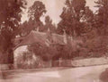 Isle of Wight Thatched Cottage Vintage A4 Photo Print
