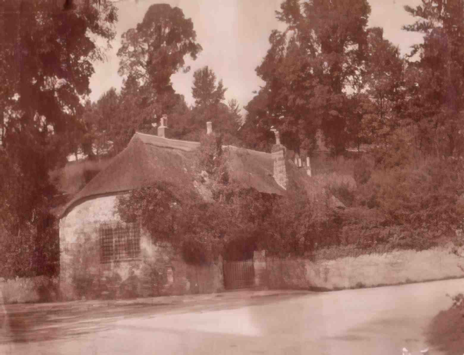 Isle of Wight Thatched Cottage Vintage A4 Photo Print