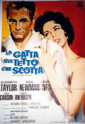 Italian 02029 Vintage Advert A4 Photo Print