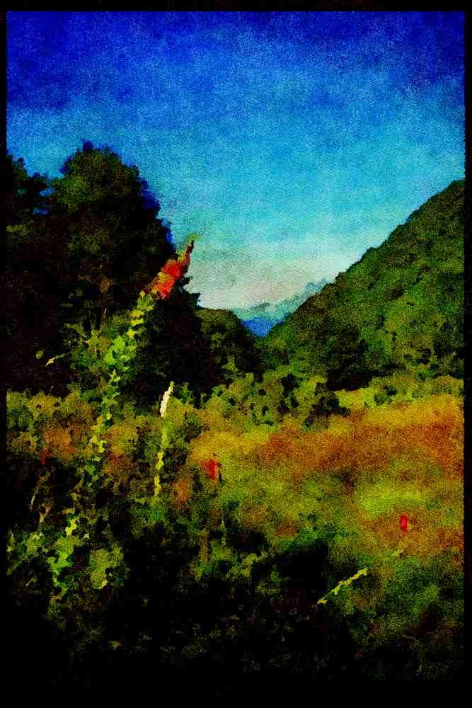 Italian Italy 036002 Meadow, Nelson Lakes National Park A4 Limited Edition Watercolour Print
