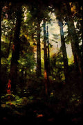 Italian Italy 036004 Redwoods, Whaka Forest, Rotoua A4 Limited Edition Watercolour Print