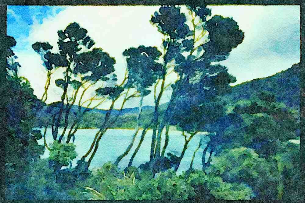 Italian Italy 036009 Manuka Shrubs And Beach, Stewart Island A4 Limited Edition Watercolour Print