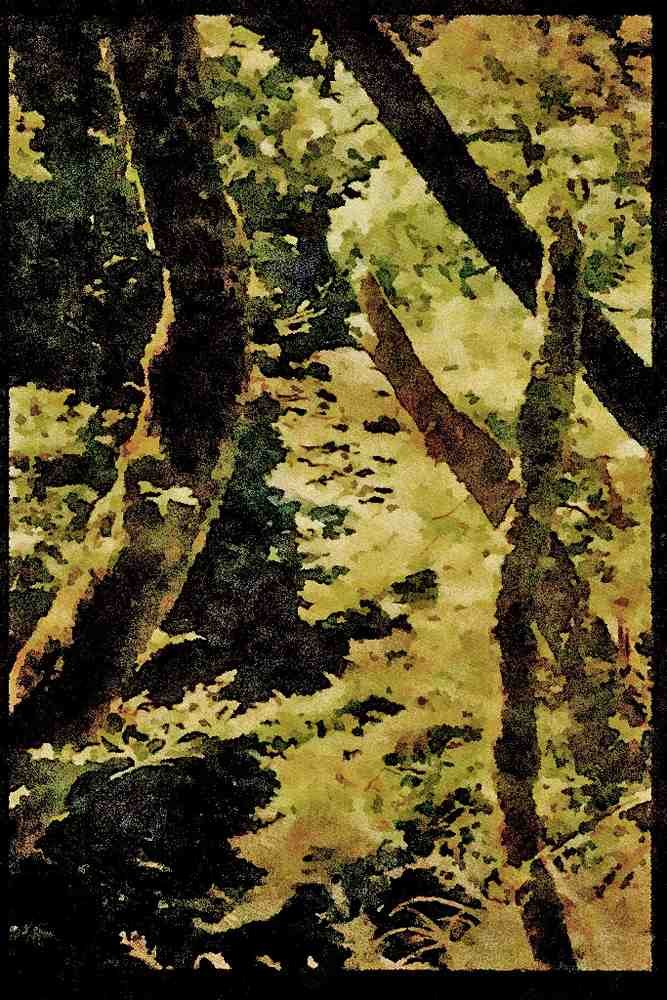 Italian Italy 036011 Beech Forests, Leslie River, Tasman Mountains A4 Limited Edition Watercolour Print