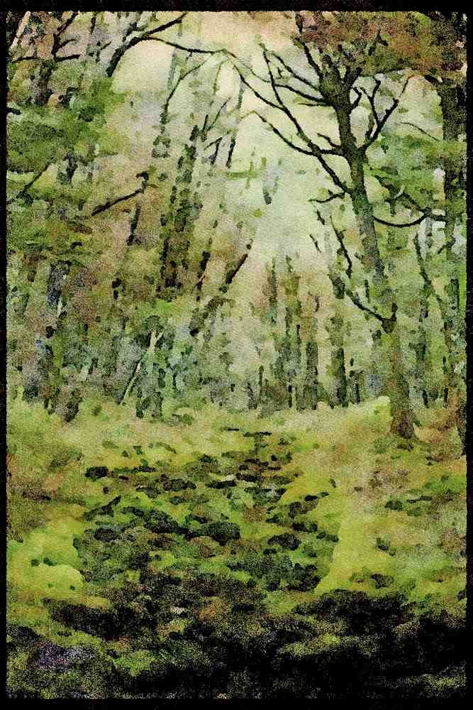 Italian Italy 036012 Moss In A Dry Stream Bed, Nelson Lakes National Park A4 Limited Edition Watercolour Print