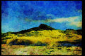 Italian Italy 036018 Grass Covered Dunes, Ninety Mile Beach, North Island A4 Limited Edition Watercolour Print