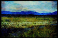 Italian Italy 036023 Field Of Lupins And Southern Alps, South Island A4 Limited Edition Watercolour Print