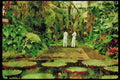 Italian Italy 036103 Auckland Domain Winter Garden A4 Limited Edition Watercolour Print