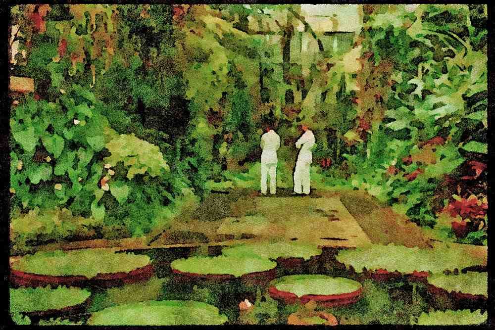 Italian Italy 036103 Auckland Domain Winter Garden A4 Limited Edition Watercolour Print