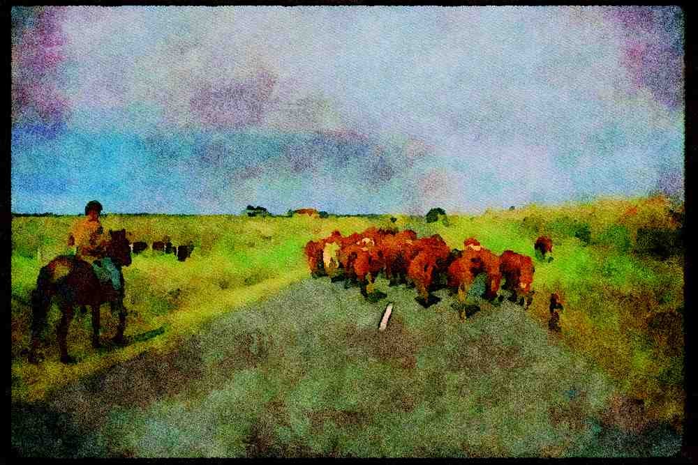Italian Italy 036115 Cowboy And Cattle, Cape Reinga A4 Limited Edition Watercolour Print