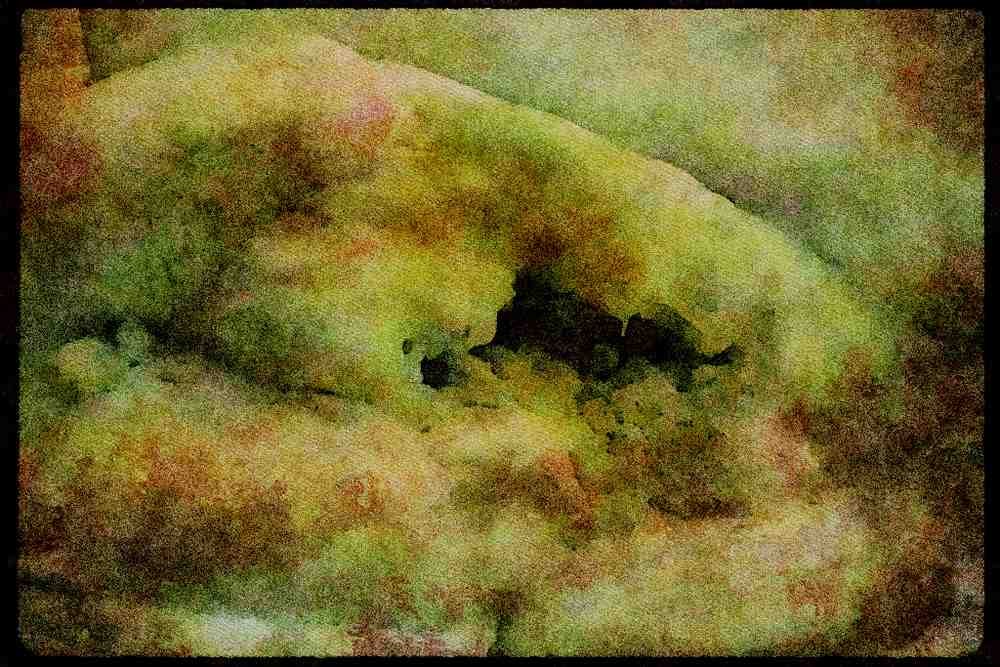 Italian Italy 036126 Whakarewarewa Thermal Area A4 Limited Edition Watercolour Print