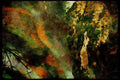 Italian Italy 036129 Waimangu Valley Thermal Area A4 Limited Edition Watercolour Print