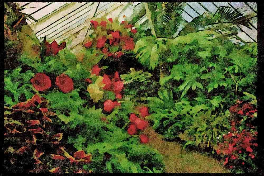 Italian Italy 036140 Wellington Botanical Gardens A4 Limited Edition Watercolour Print