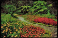 Italian Italy 036141 Wellington Botanical Gardens A4 Limited Edition Watercolour Print