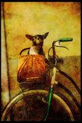 Italian Italy 111045 Bicycle And Puppy, Venice A4 Limited Edition Watercolour Print