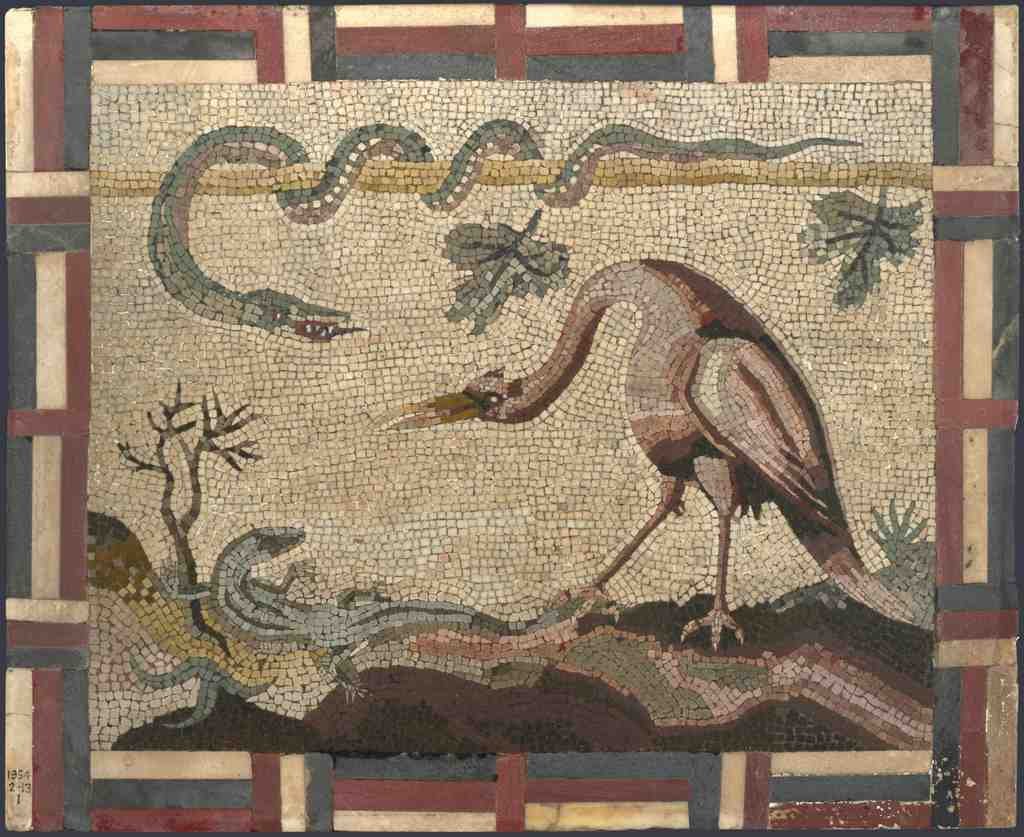 Italian, Roman Crane, Python and Lizard A4 Photo Print