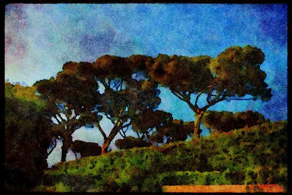 Italy visit 224016 Borghese Gardens, Rome A4 Limited Edition Watercolour Print