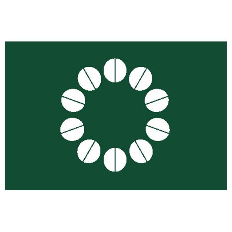 Ito City Flag N2674 A4 Photo Print