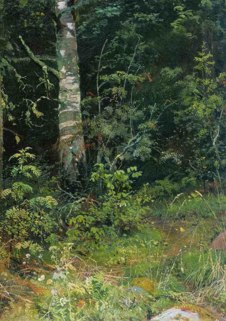Ivan Shishkin corner of overgrown garden goutweed 2 A4 Photo Print