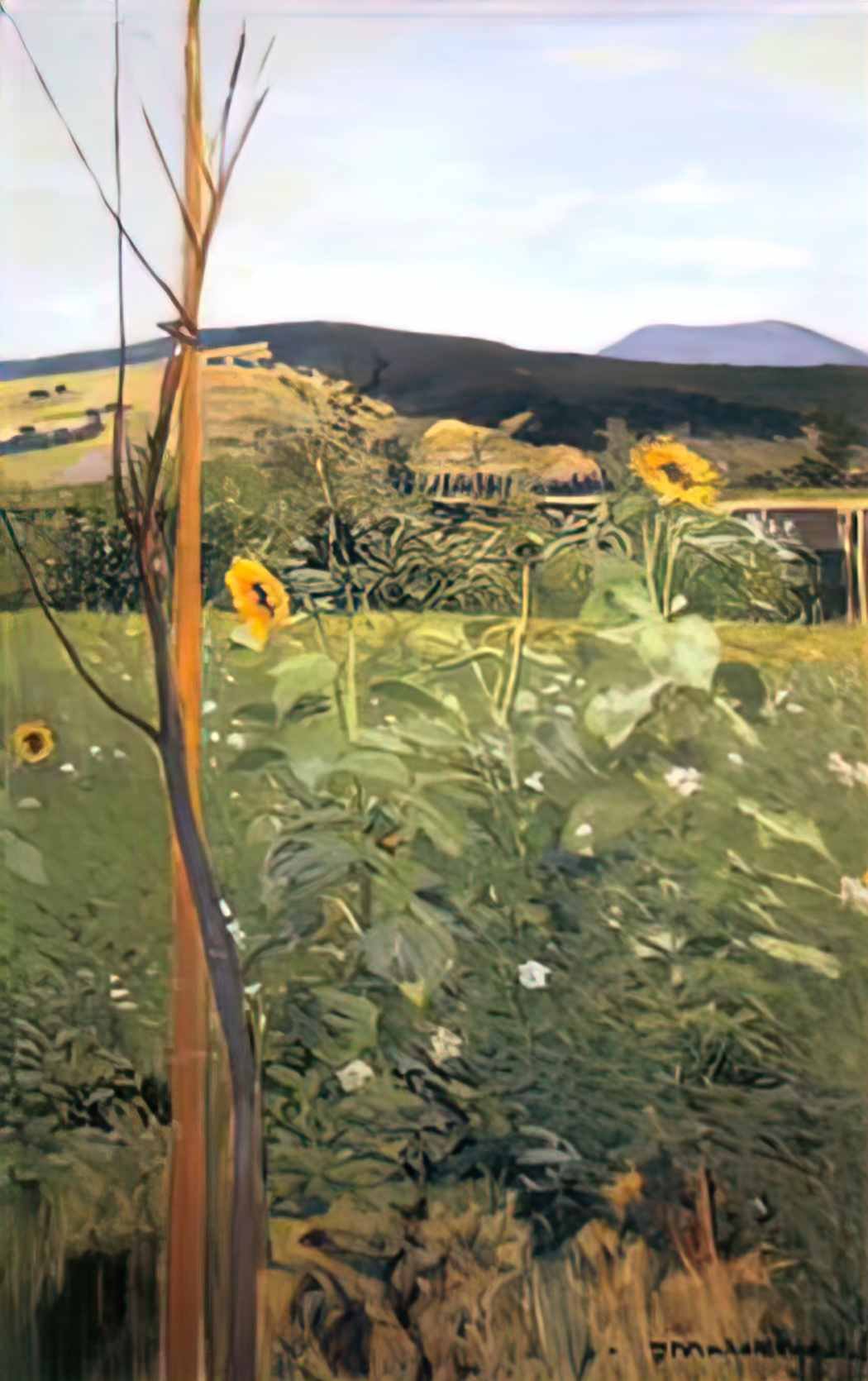 Jacek Malczewski sunflowers Art A4 Photo Print UK