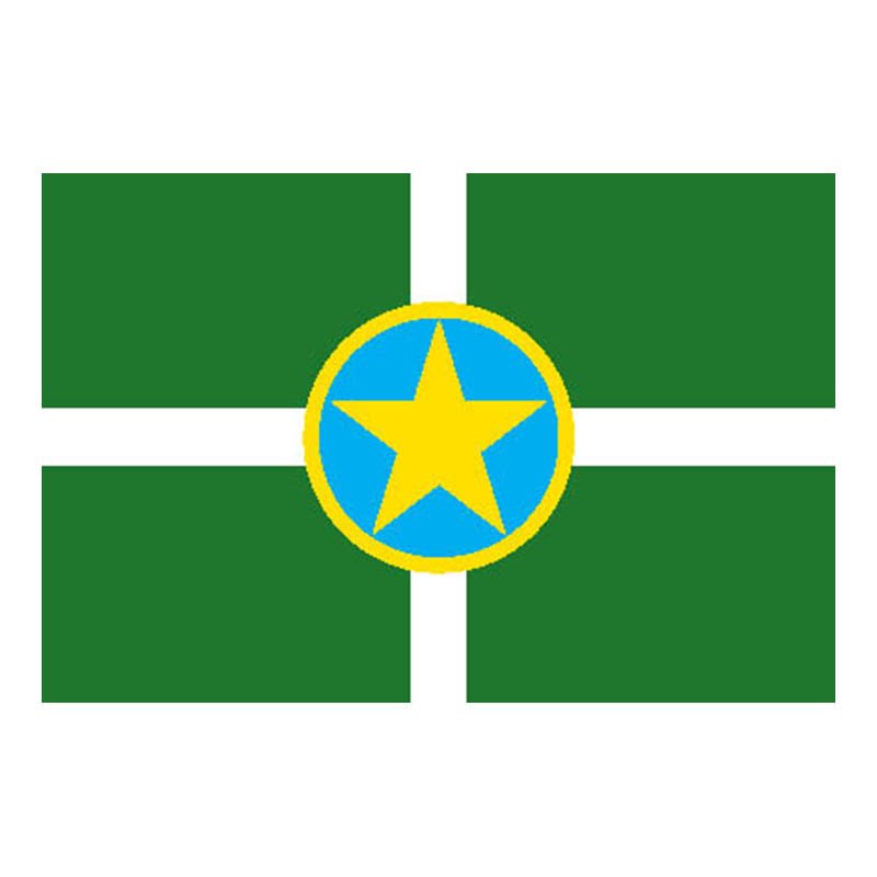 Jackson City Flag N6035 A4 Photo Print