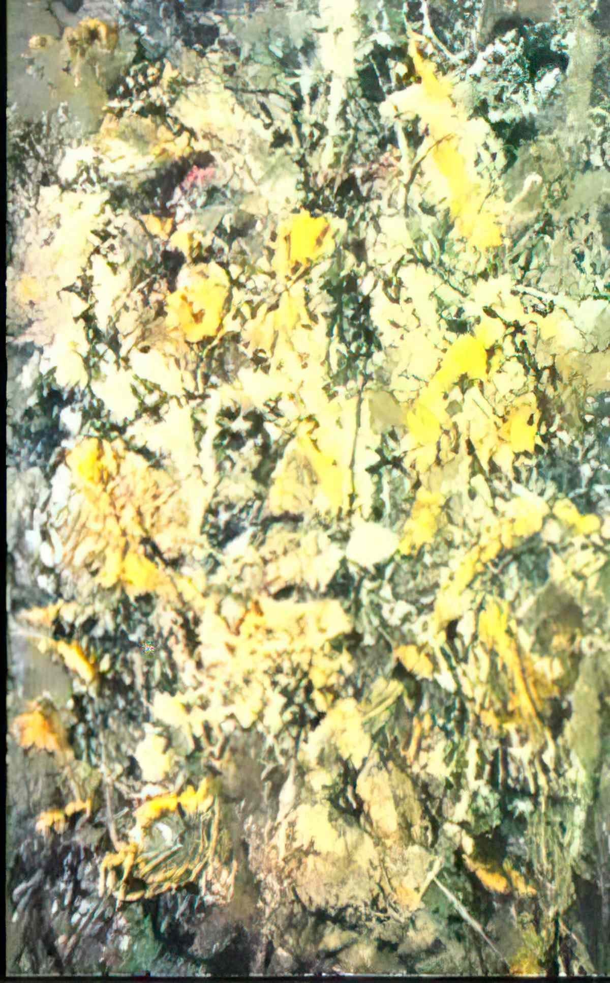 Jack Bush flute passage 1975 Art A4 Photo Print