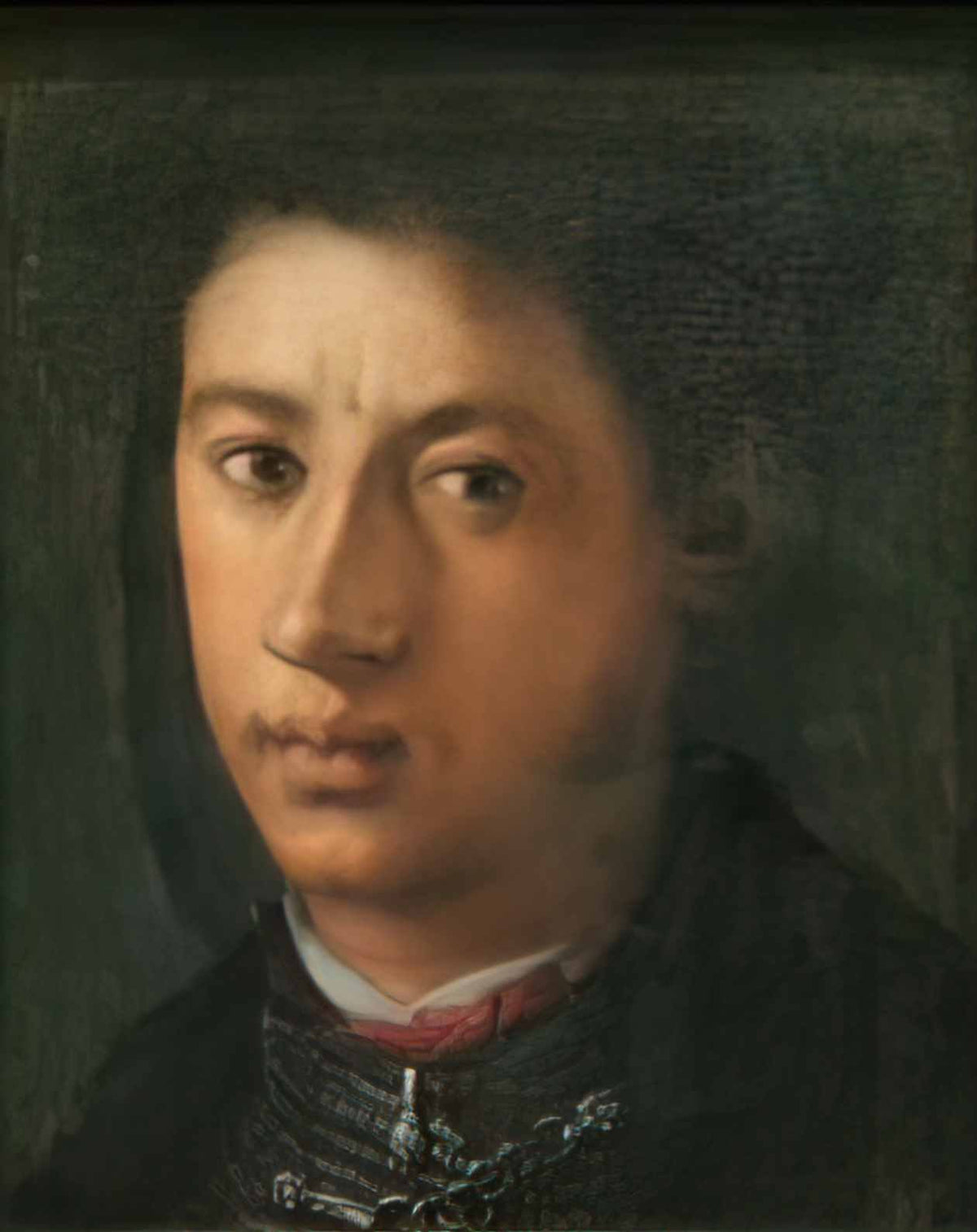 Jacopo Pontormo alessandro de medici Art A4 Photo Print