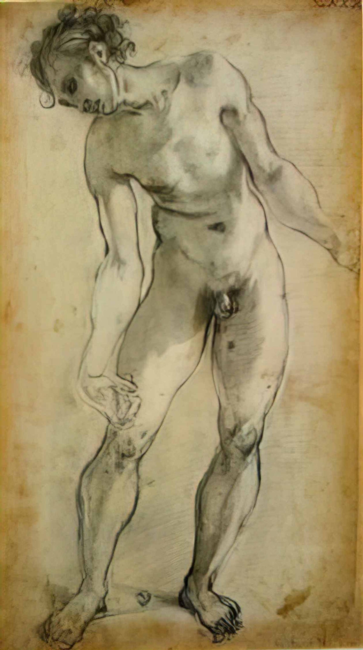 Jacopo Pontormo male nude Art A4 Photo Print