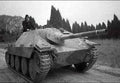 Jagdpanzer 38t Hetzer 7 A4 Photo Print