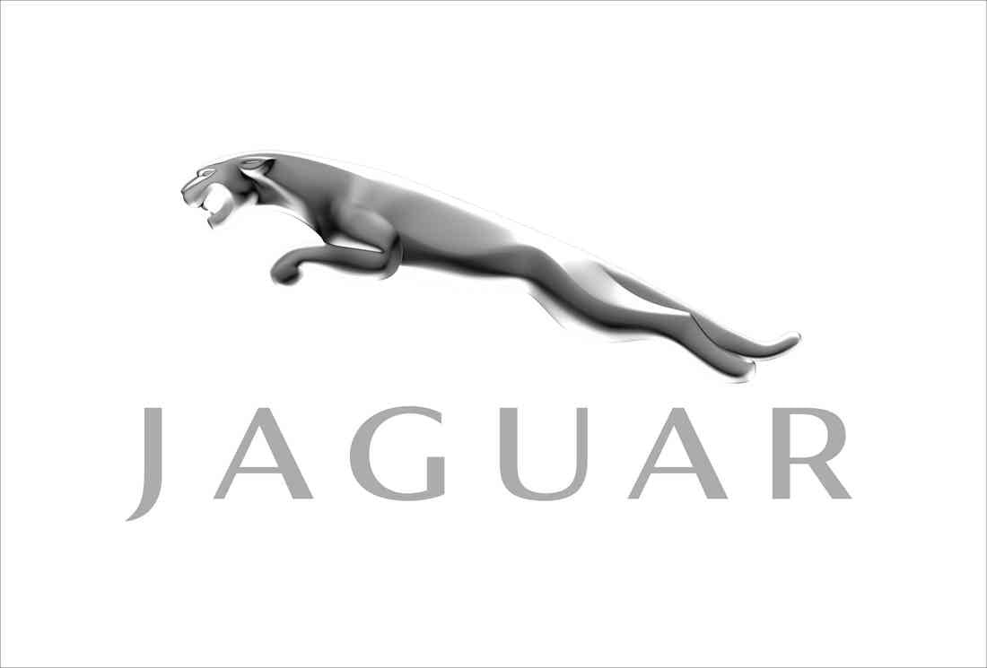 Jaguar 1 A4 Photo Print