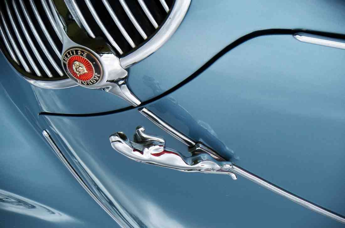 Jaguar Boot Bonnet 2727 Grille Real A4 Photo Print 2