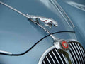 Jaguar Boot Bonnet 2727 Grille A4 Photo Print