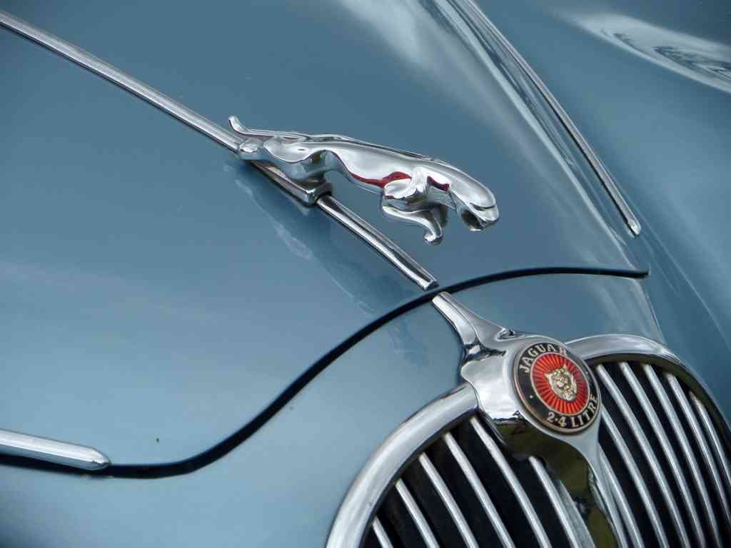 Jaguar Boot Bonnet 2727 Grille A4 Photo Print