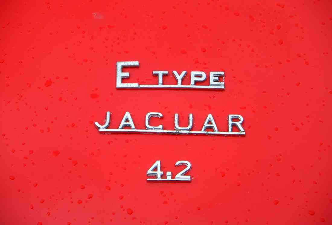 Jaguar E Type red 42 Boot Bonnet 2465 Grille Real A4 Photo Print 2