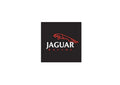 Jaguar Racing A4 Photo Print
