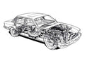 Jaguar Sovereign cutaway A4 Photo Print