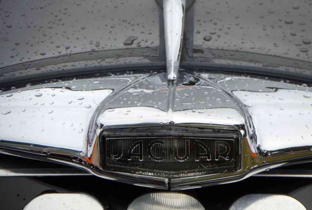 Jaguar XK 150 Bonnet 2371 Grille A4 Photo Print
