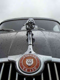 Jaguar XK 150 Bonnet 2383 Grille A4 Photo Print