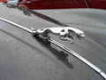 Jaguar XK 150 Bonnet 2384 Grille A4 Photo Print